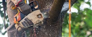 Best Utility Line Clearance  in Pittsburg, CA